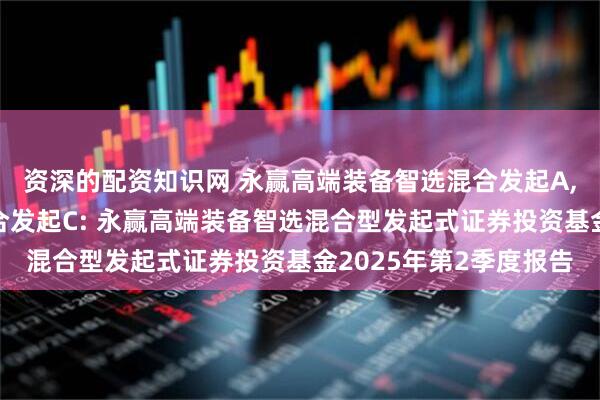 资深的配资知识网 永赢高端装备智选混合发起A,永赢高端装备智选混合发起C: 永赢高端装备智选混合型发起式证券投资基金2025年第2季度报告